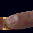 Entwicklung einer Hardware zur Erkennung eines Fingerabdrucks